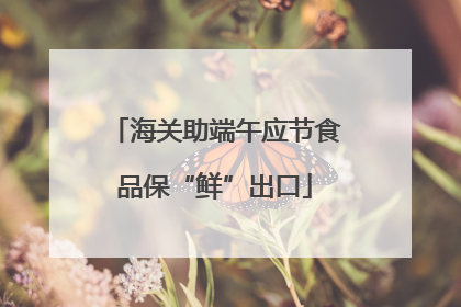 海关助端午应节食品保“鲜”出口