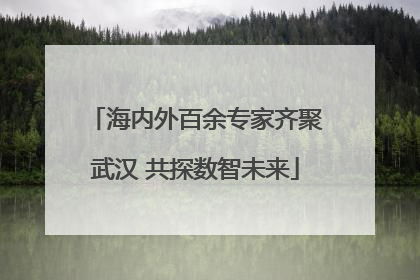 海内外百余专家齐聚武汉 共探数智未来