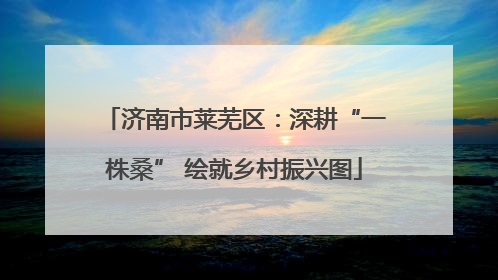 济南市莱芜区：深耕“一株桑” 绘就乡村振兴图