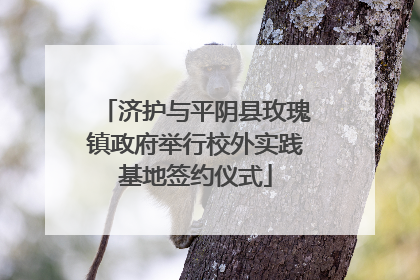 济护与平阴县玫瑰镇政府举行校外实践基地签约仪式