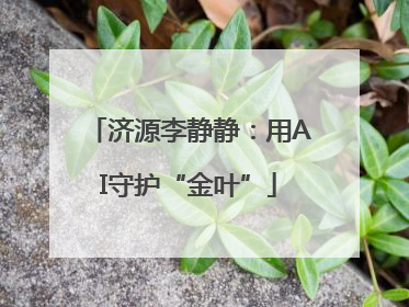 济源李静静：用AI守护“金叶”