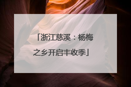 浙江慈溪：杨梅之乡开启丰收季