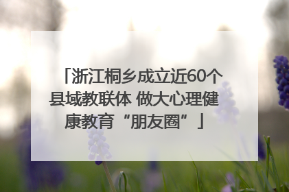 浙江桐乡成立近60个县域教联体 做大心理健康教育“朋友圈”