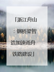 浙江舟山：钢桥梁智造加速甬舟铁路建设