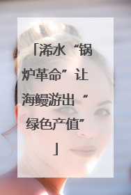 浠水“锅炉革命”让海鳗游出“绿色产值”