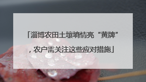 淄博农田土壤墒情亮“黄牌”，农户需关注这些应对措施
