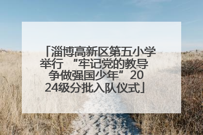 淄博高新区第五小学举行 “牢记党的教导 争做强国少年”2024级分批入队仪式