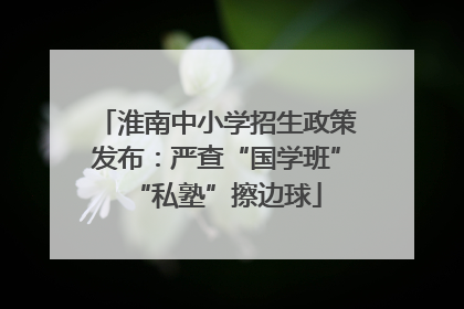 淮南中小学招生政策发布：严查“国学班”“私塾”擦边球