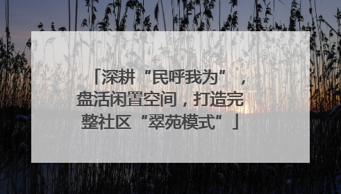 深耕“民呼我为”，盘活闲置空间，打造完整社区“翠苑模式”