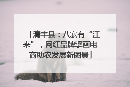 清丰县：八寨有“江来”，网红品牌擘画电商助农发展新图景