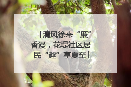 清风徐来“廉”香漫，花堤社区居民“趣”享夏至