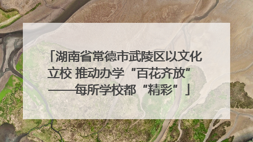 湖南省常德市武陵区以文化立校 推动办学“百花齐放”——每所学校都“精彩”