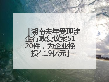 湖南去年受理涉企行政复议案5120件，为企业挽损4.19亿元