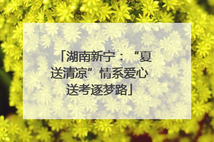 湖南新宁：“夏送清凉”情系爱心送考逐梦路