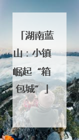 湖南蓝山：小镇崛起“箱包城”