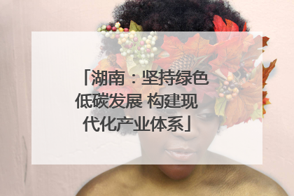 湖南：坚持绿色低碳发展 构建现代化产业体系