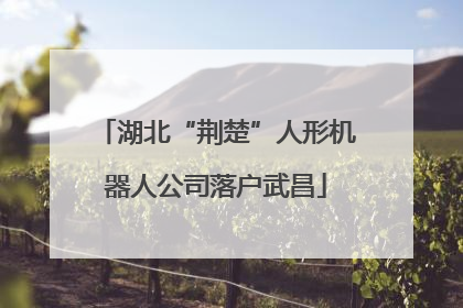 湖北“荆楚”人形机器人公司落户武昌