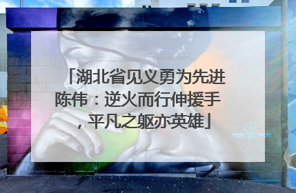 湖北省见义勇为先进陈伟：逆火而行伸援手，平凡之躯亦英雄