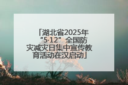 湖北省2025年“5·12”全国防灾减灾日集中宣传教育活动在汉启动