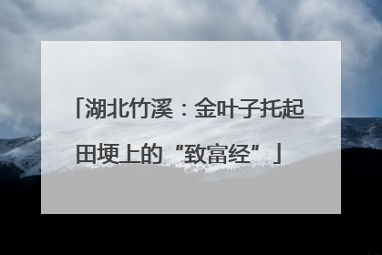 湖北竹溪：金叶子托起田埂上的“致富经”