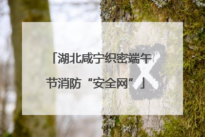 湖北咸宁织密端午节消防“安全网”
