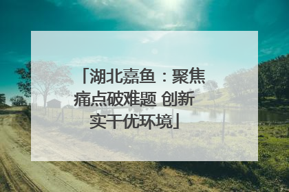 湖北嘉鱼：聚焦痛点破难题 创新实干优环境
