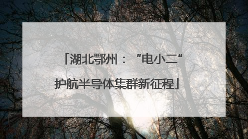 湖北鄂州：“电小二”护航半导体集群新征程
