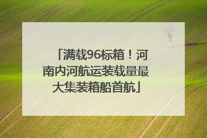 满载96标箱！河南内河航运装载量最大集装箱船首航