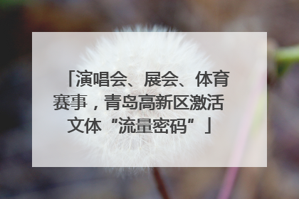 演唱会、展会、体育赛事，青岛高新区激活文体“流量密码”