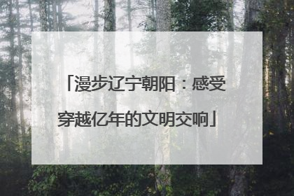 漫步辽宁朝阳：感受穿越亿年的文明交响