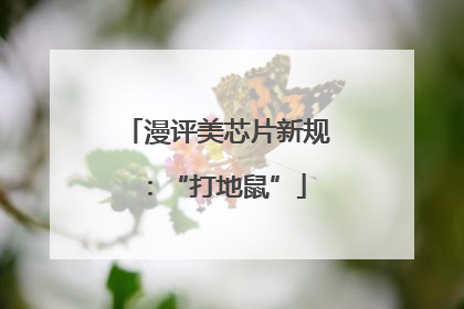 漫评美芯片新规：“打地鼠”