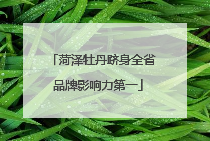 菏泽牡丹跻身全省品牌影响力第一
