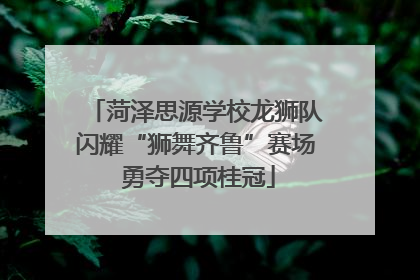 菏泽思源学校龙狮队闪耀“狮舞齐鲁”赛场 勇夺四项桂冠