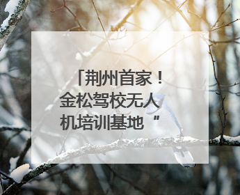 荆州首家！金松驾校无人机培训基地“开机”