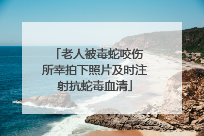 老人被毒蛇咬伤 所幸拍下照片及时注射抗蛇毒血清