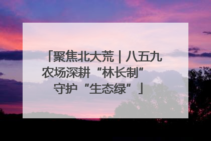 聚焦北大荒｜八五九农场深耕“林长制” 守护“生态绿”
