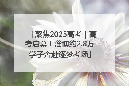 聚焦2025高考｜高考启幕！淄博约2.8万学子奔赴逐梦考场