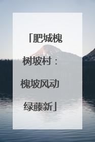 肥城槐树坡村：槐坡风动绿藤新