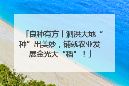 良种有方丨泗洪大地“种”出美妙，铺就农业发展金光大“稻”！