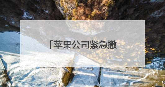 苹果公司紧急撤下争议性广告