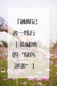 融媒记者一线行｜盐碱地的“绿色逆袭”