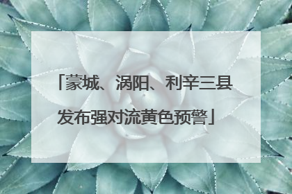 蒙城、涡阳、利辛三县发布强对流黄色预警