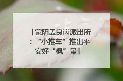 蒙阴孟良崮派出所：“小推车”推出平安好“枫”景