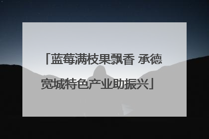 蓝莓满枝果飘香 承德宽城特色产业助振兴