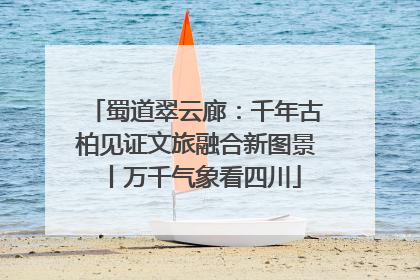 蜀道翠云廊：千年古柏见证文旅融合新图景丨万千气象看四川