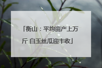 衡山：平均亩产上万斤 白玉丝瓜迎丰收