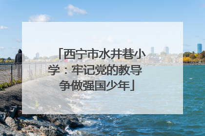 西宁市水井巷小学：牢记党的教导 争做强国少年