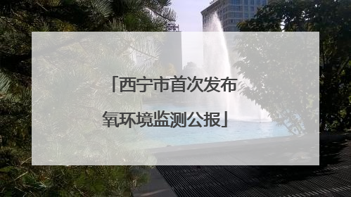 西宁市首次发布氧环境监测公报