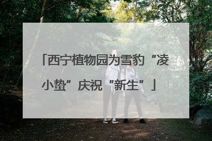 西宁植物园为雪豹“凌小蛰”庆祝“新生”