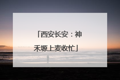 西安长安：神禾塬上麦收忙